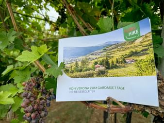 Tour book From Verona to Lake Garda