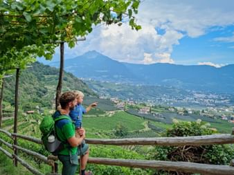 Adult with child carrier backpack viewing South Tyrol valley with vineyards, mountains, and villages under grape vine pergola.