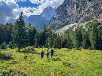 Drei Wanderer gehen durch grüne Almwiese in den Julischen Alpen mit felsigen Gipfeln und Wald. Sonniger Tag mit blauem Himmel beim Vršič Pass.
