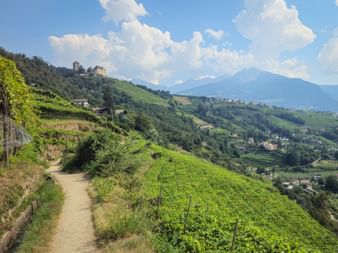 View of the castle and the village of Tirol