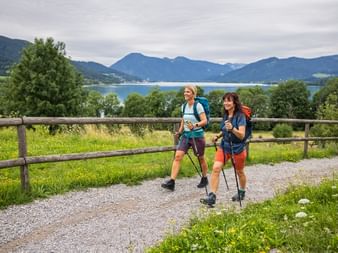 Leisurely hike along a gravel path