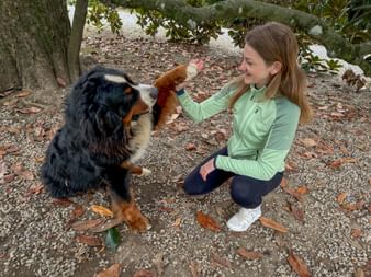 Frau in hellgrüner Jacke kniet auf Kiesweg und streichelt einen Berner Sennenhund. Gartenumgebung mit Bäumen und Laub in Capannori.