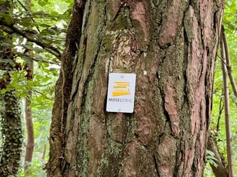 Waymarking on the tree