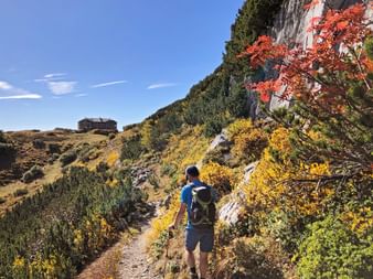 Wanderer auf dem Weg zur Hofpürglhütte am Gosaukamm