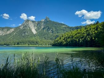 Alpsee lake with turquoise water and reeds in foreground, forested mountain peaks under blue sky with white clouds on the Lechweg trail.