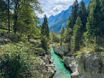 Türkisfarbener Soča-Fluss fließt durch felsige Schlucht umgeben von Wald, mit Julischen Alpen im Hintergrund unter blauem Himmel.