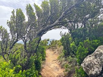 Teno Mountains circular hike High trails