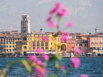 View of Riva del Garda across Lake Garda with pink flowers in foreground. Colorful buildings line the waterfront with a bell tower rising above.