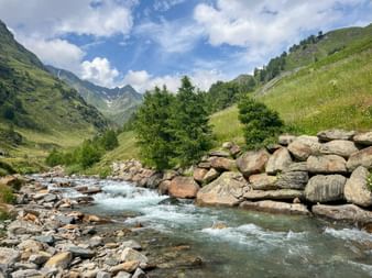 Mountain stream next to alpine meadow and mountain views