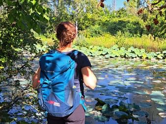 Isabella on the river Sile