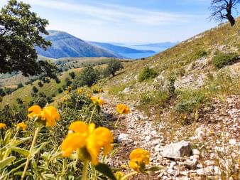 Wunderschöne Aussichten entlang des Wanderpfades