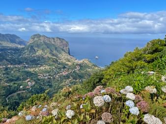 View of the beautiful coastline with flowers