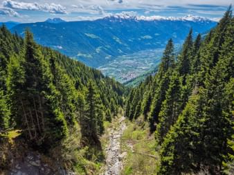 Rocky mountain path through dense forest on Meraner Höhenweg, opening to valley view with snow-capped peaks under blue sky.