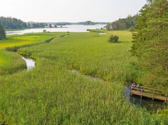 Holzsteg über grüne Feuchtwiesen an den Osterseen bei München. Drei Wanderer ruhen auf der Plattform mit Blick auf See und Wald.