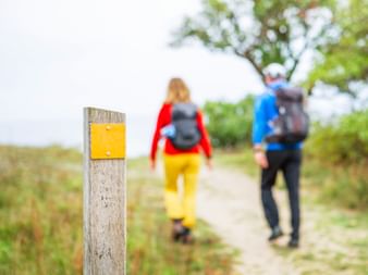 Gelbe Wegmarkierung an Holzpfosten mit zwei Wanderern auf Pfad im Hintergrund. Einer trägt rote Jacke und gelbe Hose, der andere blau.