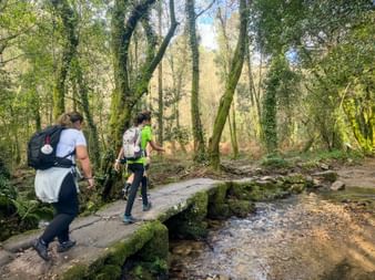 Drei Wanderer mit Rucksäcken überqueren eine moosbewachsene Steinbrücke über einen Bach in einem grünen portugiesischen Wald am Jakobsweg.