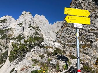 Signpost with a view of the Dachstein rock massif