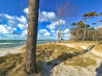 Gorgeous beach at the Baltic Sea