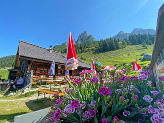 Stuhlalm hut in Annaberg