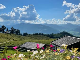 View of the Steinernes Meer and Steinalm