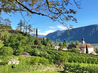 Wandern durch die Weingärten in Südtirol