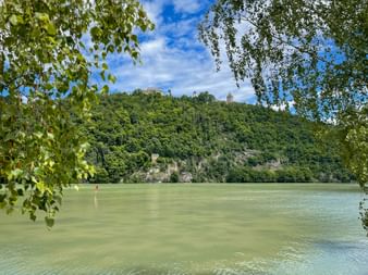 Castle Neuhaus sits atop a forested hill overlooking the green Danube River, framed by birch leaves under a blue sky with white clouds.