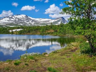 Ruhiger See mit Spiegelung schneebedeckter Berge in Funäsfjällen, Schweden. Grüne Vegetation säumt das Ufer mit Birken und blauem Himmel.