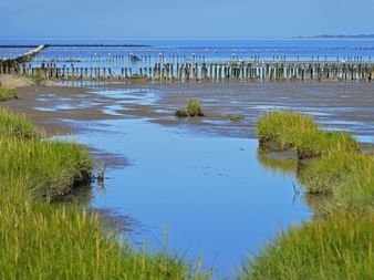 Schleswig-Holstein Wadden Sea