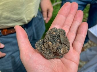 Sveti Blaz Truffles Slovenia