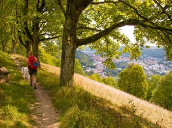 Wanderer mit rotem Rucksack und weißem Hund auf Hangweg unter großen Bäumen mit Blick auf eine Ortschaft im Altmühltal.