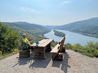Wanderer im gelben Shirt an Holzbank mit Blick auf Rheintal mit grünen Hügeln und kleiner Insel. Aussichtspunkt am Rheinsteig.