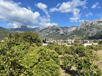 Landscape on Mallorca's west coast and the stunning mountain scenery