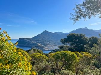Panoramablick auf Port Soller über das Gebüsch hinweg