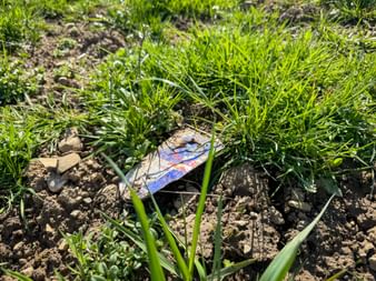 Müll hat in unserer schönen Umwelt nichts verloren