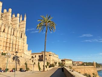 The cathedral Santa Maria in Palma de Mallorca