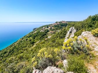 Coastal panorama near Trieste