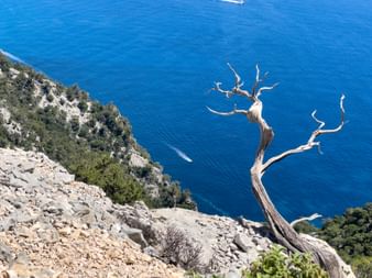 Steep coast at Cala Mariolu