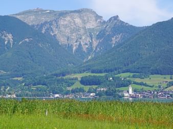 Mountain view near Bad Ischl
