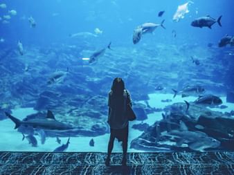 A woman admires the fish in a huge aquarium at Ozeanopolis