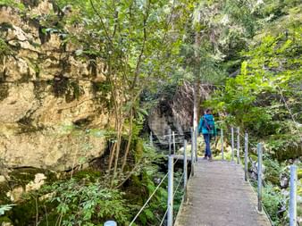 Hiker on a wooden hiking trail through the forest