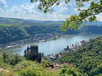 Burg Katz auf einem Hügel über dem Rhein mit Stadt am Flussufer. Grüne bewaldete Hügel und blauer Himmel rahmen den Talblick.