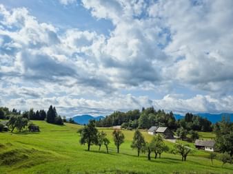 Grüne Wiese mit Obstbäumen in Koprivnik, Soča-Tal. Traditionelle Häuser und Wälder sichtbar, Julische Alpen im Hintergrund unter bewölktem Himmel.