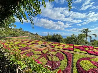 Der Botanische Garten in Funchal