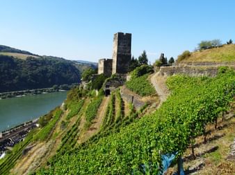 View of a castle on the Rhine