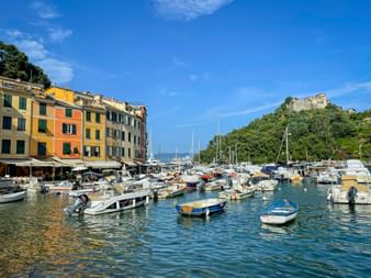Portofino harbor with boats moored in calm blue water, colorful buildings along the waterfront, and green hills in the background under blue sky.