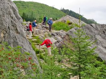 Wanderer klettern Steinstufen hinauf