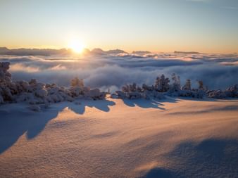 Sonnenaufgang über der verschneiten Postalm mit goldenem Licht, das unberührten Schnee und bereiften Bäumen über einem Wolkenmeer beleuchtet.