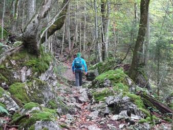 Hiking trail in the Bluntau valley