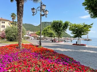 Flowers on the promenade at Lake Garda