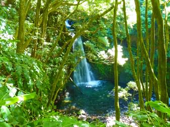 Waterfall in Salto do Prego in the Azores